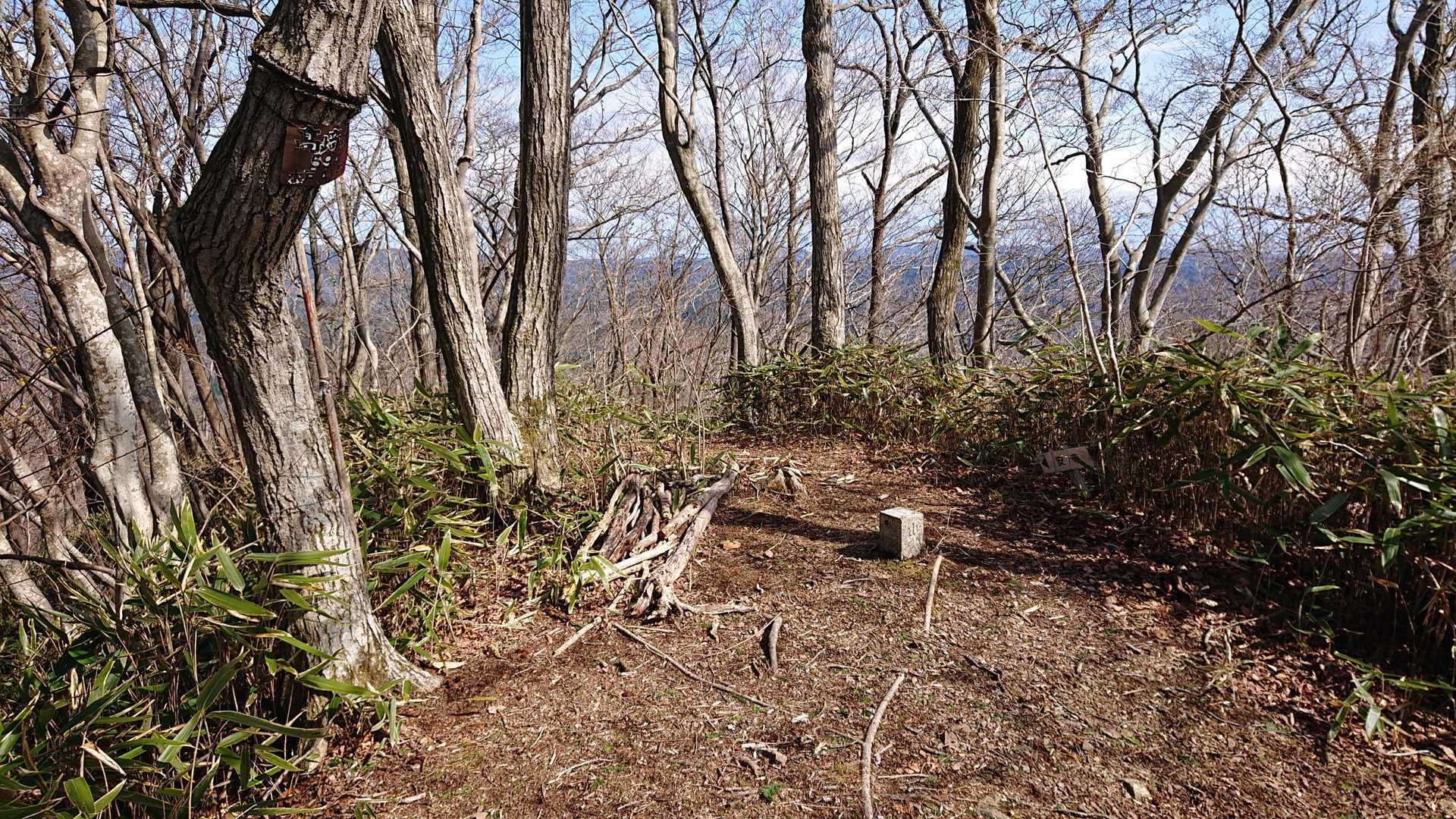 高崎山山頂👍️
これで茨城100山96制覇😄