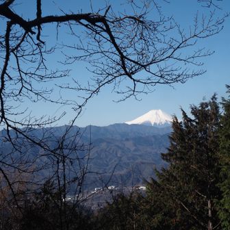少し歩くと富士山みえてきます