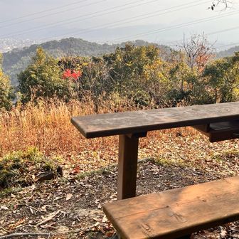 眺めの良い展望テーブルあり