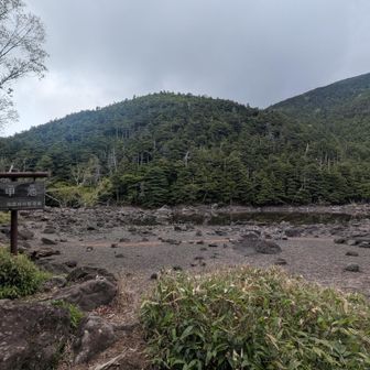 亀甲池
水が少ない