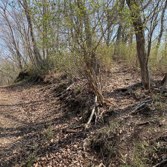 ピークは右。わかりにくい