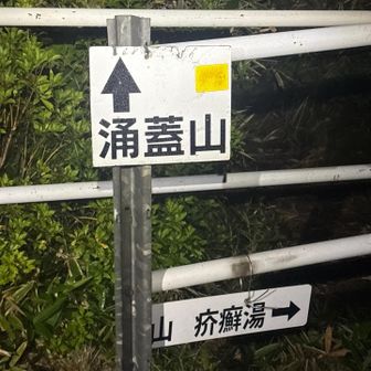 涌蓋山へ向かいますが、ここから藪漕ぎ多めです😢