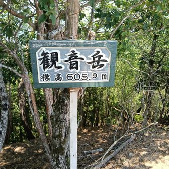展望あり。眺望あり、堀坂山が望めます。
