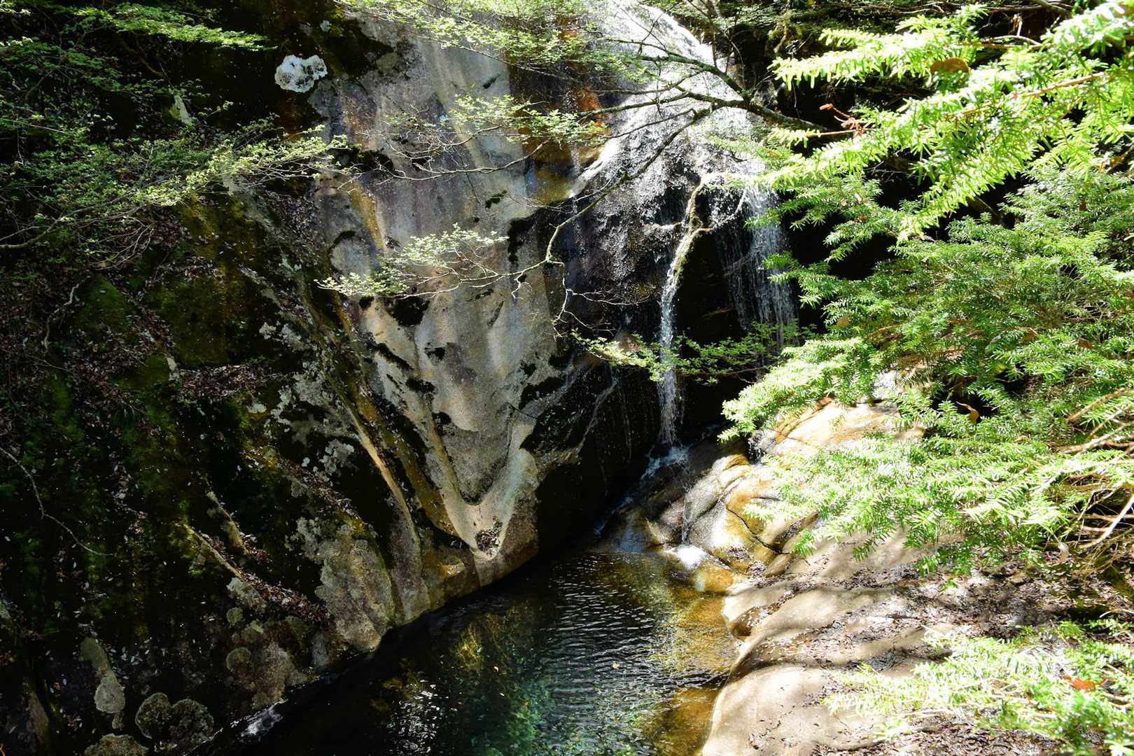 ドボンポイント💦✨