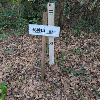 天神山103mに来ました👍