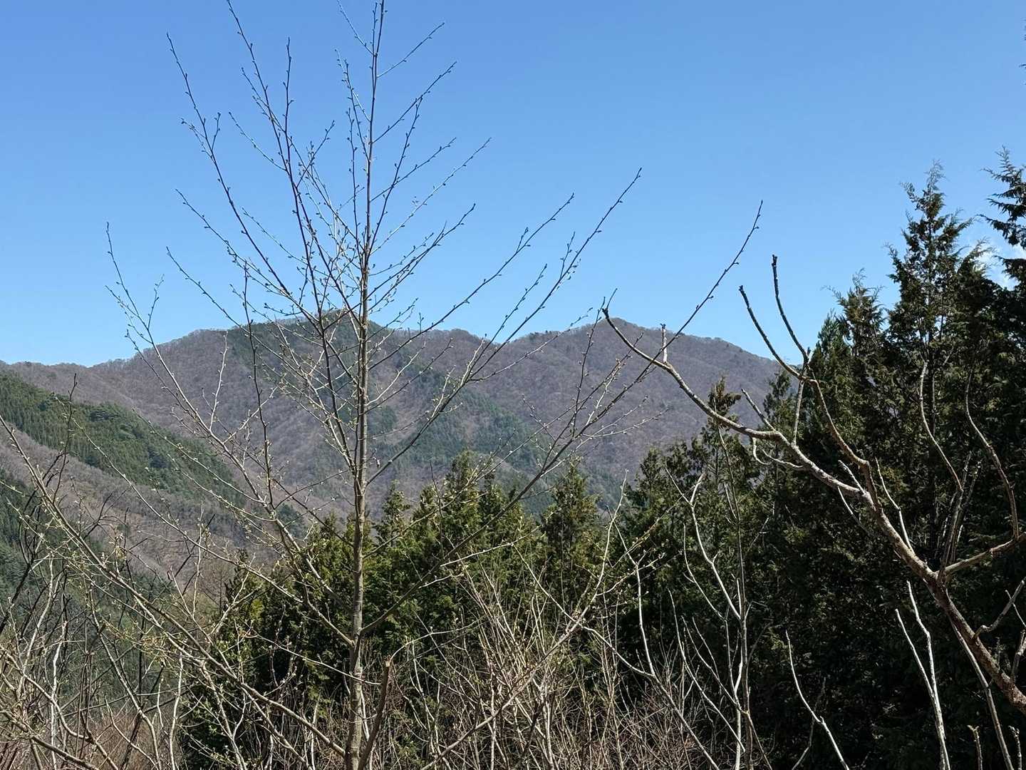右に三頭山