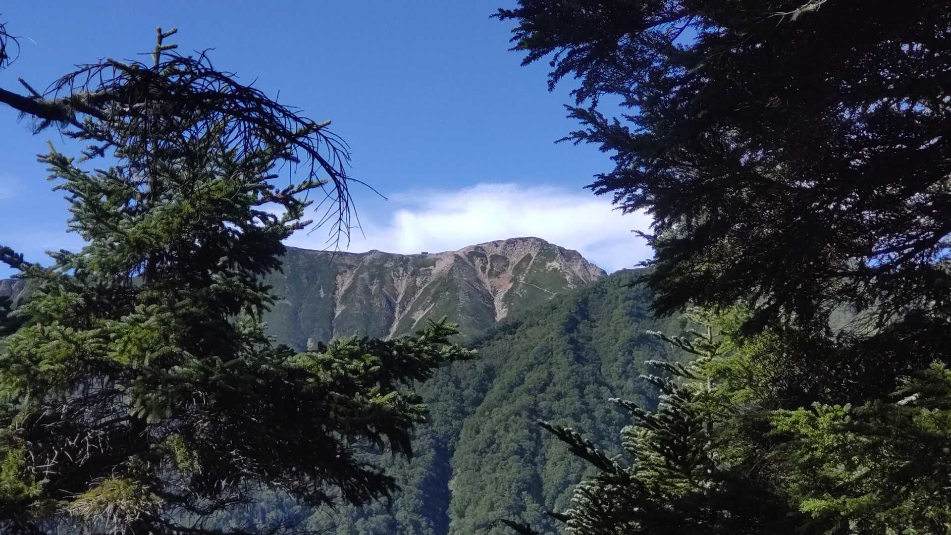 おぉ！大天井