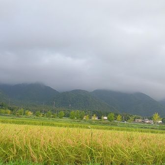 すっぽり雲に覆われている比良山系