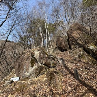 色々な大きな岩が点在していて、飽きません😆