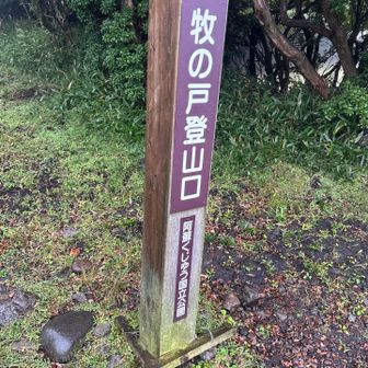 いざ、出発‼️