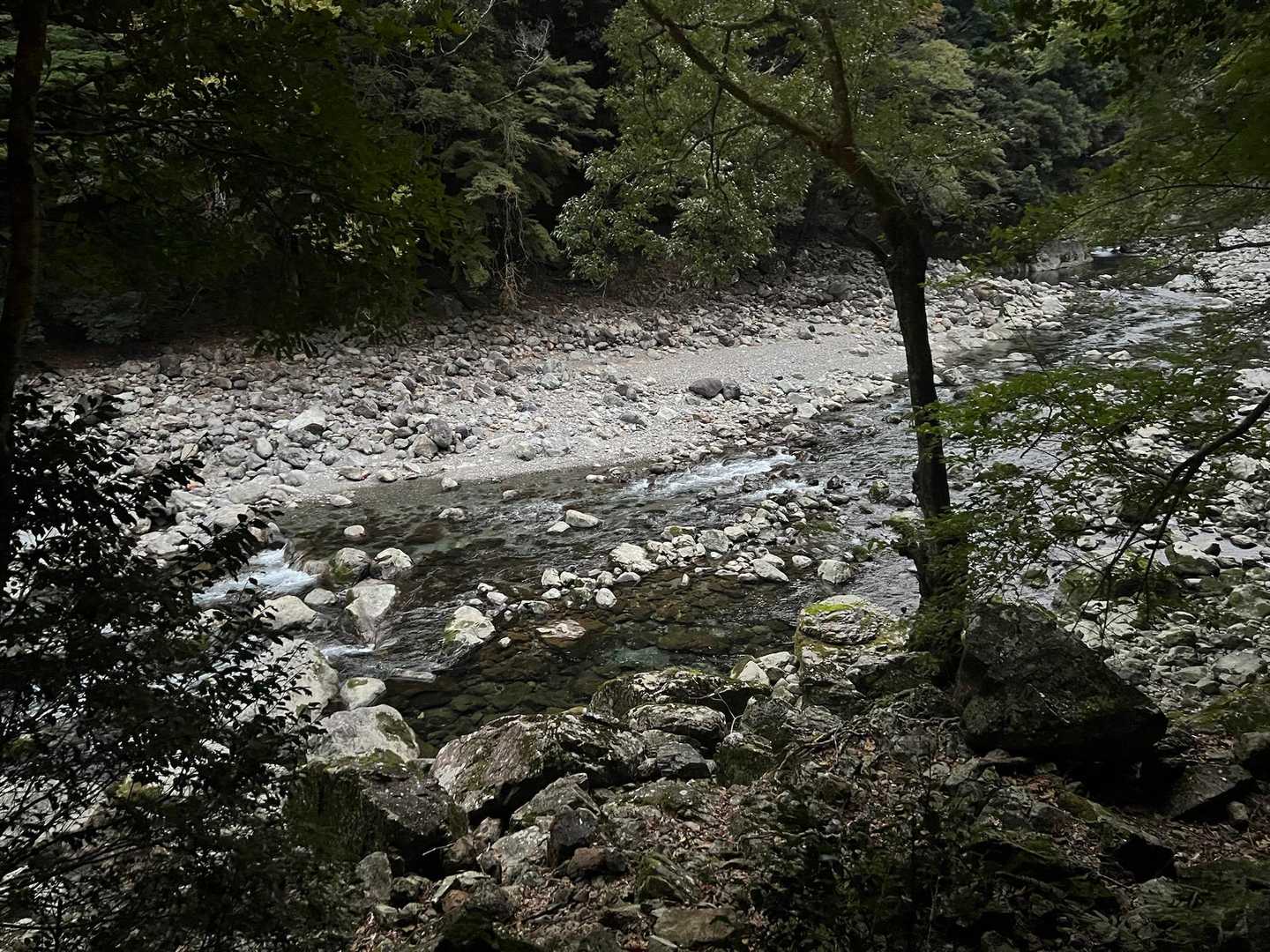 大杉谷-大台ヶ原山 往復コースの写真