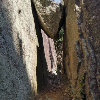 この下を潜るのはリュック🎒が引っかかって四つ這い