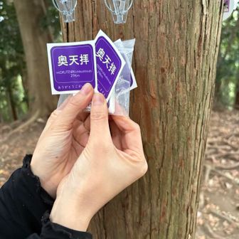 裏にステッカー置いてありました。
いただきます！