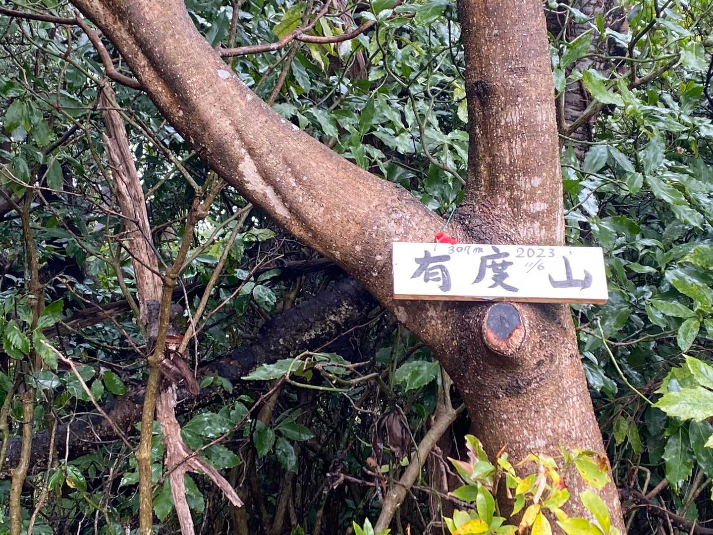 山頂です。
しず百(^^)
