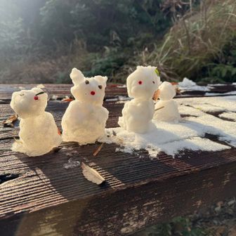 あらッ！増えてる😆