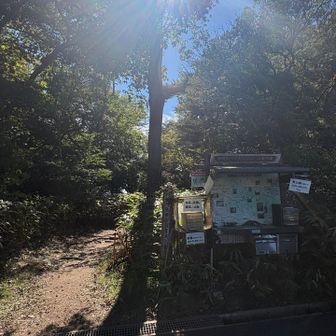 おつかれ山