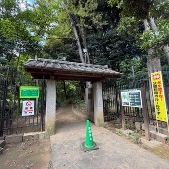 5つ目のピーク、おとめ山へはもう少し手前にも入口がありますが、入る時はこちらから行きました
(Googleマップ=おとめ山公園展望台)