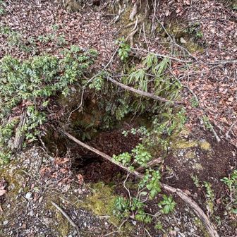 ここにも穴が！
最初は炭を作る穴かなぁと思ってたけど・・
明らかに違う。