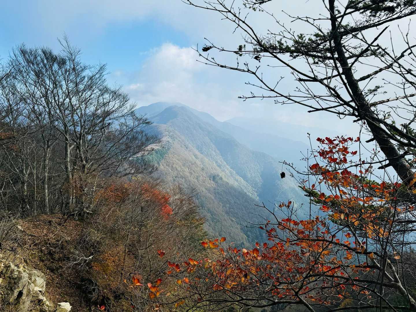大石峠-大石峰山-金堀山-節刀ヶ岳 往復コースの写真
