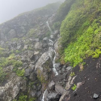 遠くから水の音はしてたけど。