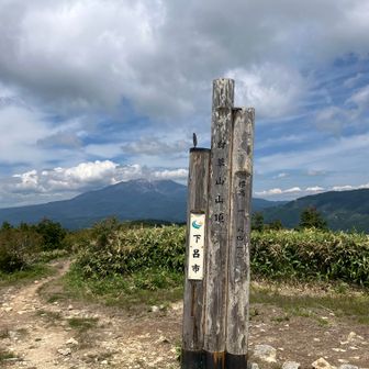 35、白草山へ㉛
白草山山頂に到着。ついでに御嶽山
