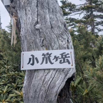 小笊ヶ岳、やっと本日最初のピーク