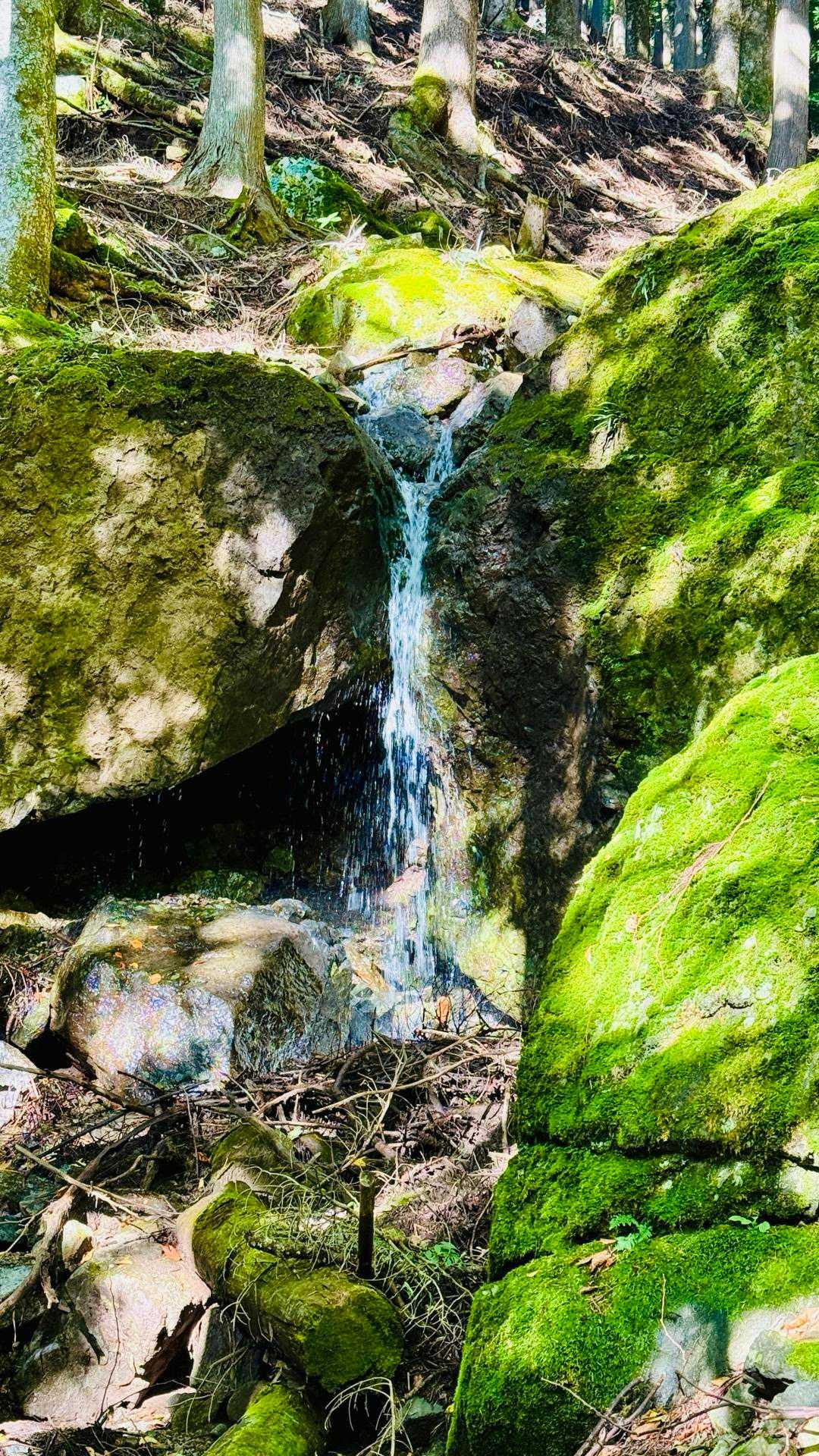 三ツ峠入口-旧御坂峠-コブ岩ノ頭-黒岳-すずらん峠-破風山 縦走コースの写真