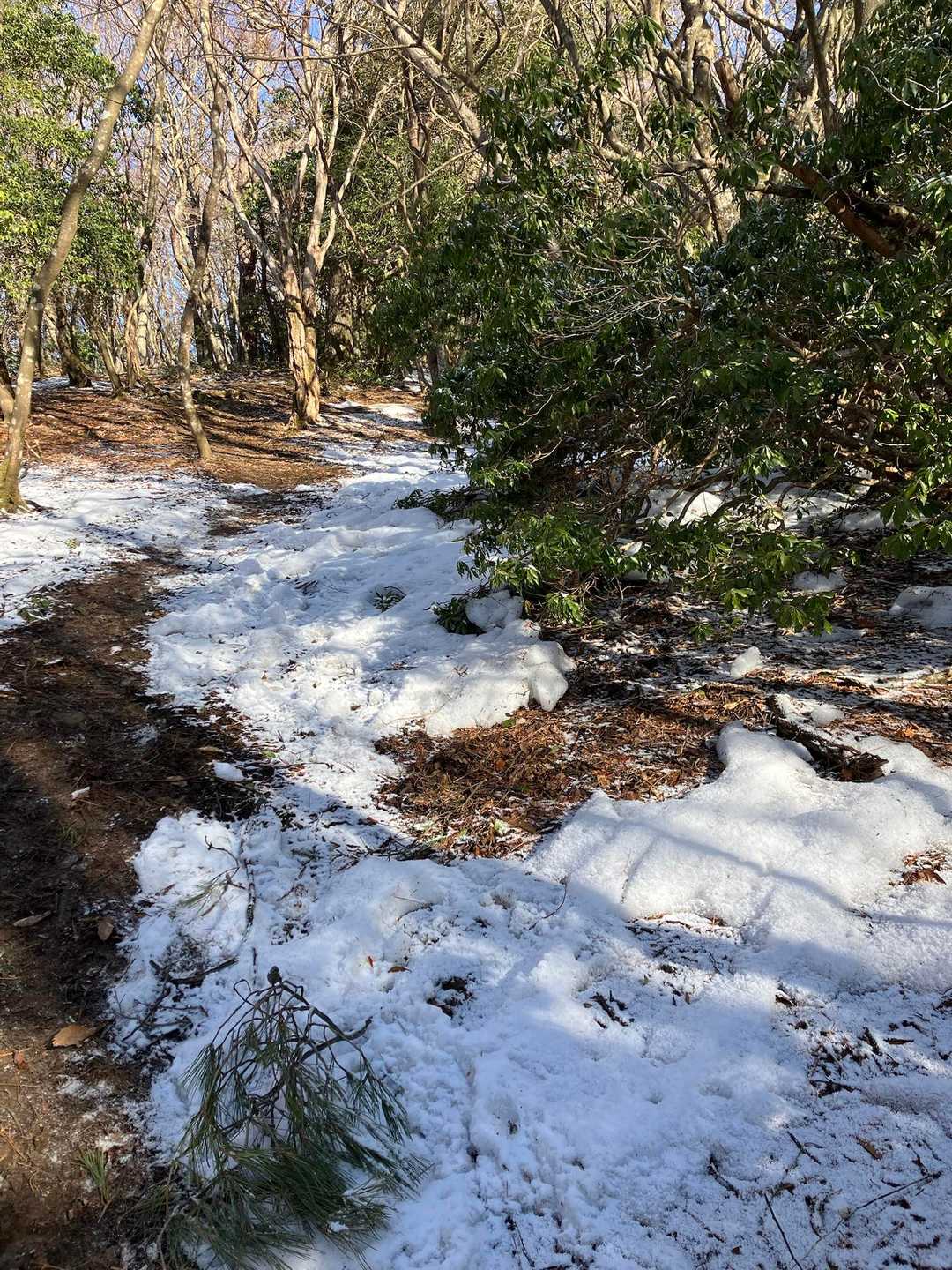 まだ積雪後！