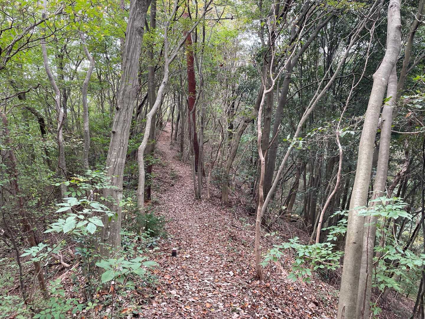 小瀬富士-小舟富士 周回コースの写真