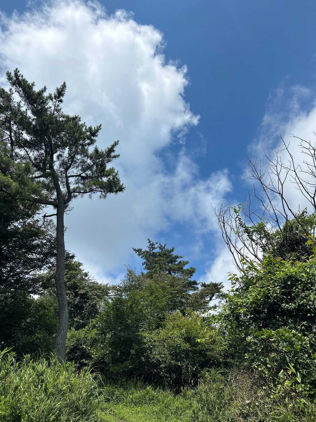 青空になってきたかな☺️