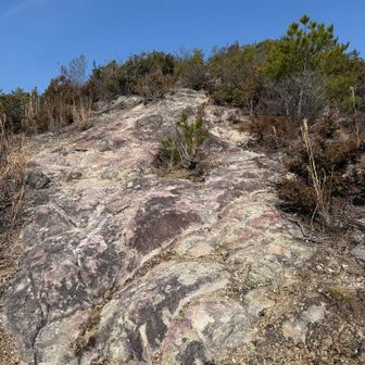 洞貝山への登り、山頂はショボイので写真無し