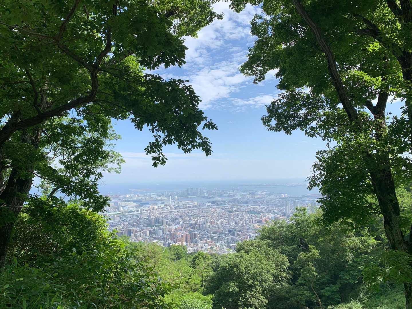 芦屋川駅-城山登山口-鷹尾山-荒地山-岡本駅 縦走コースの写真