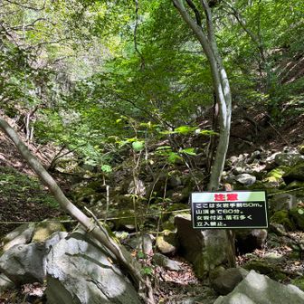 この辺りから急登、岩場が多くなります