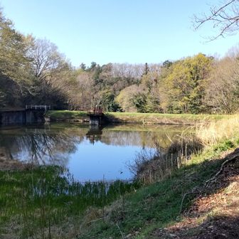 溜池の向こう側を入っていきます