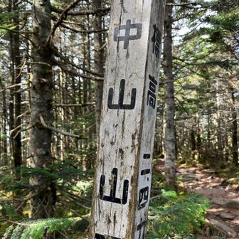 樹林帯をひたすら登ってお次は中山山頂へ