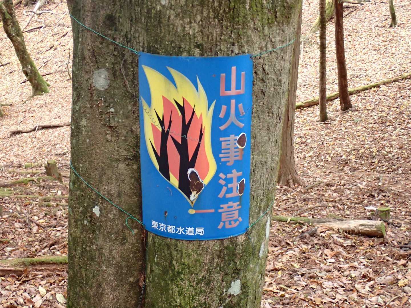 黒川山・鶏冠山（柳沢峠駐車場） の写真