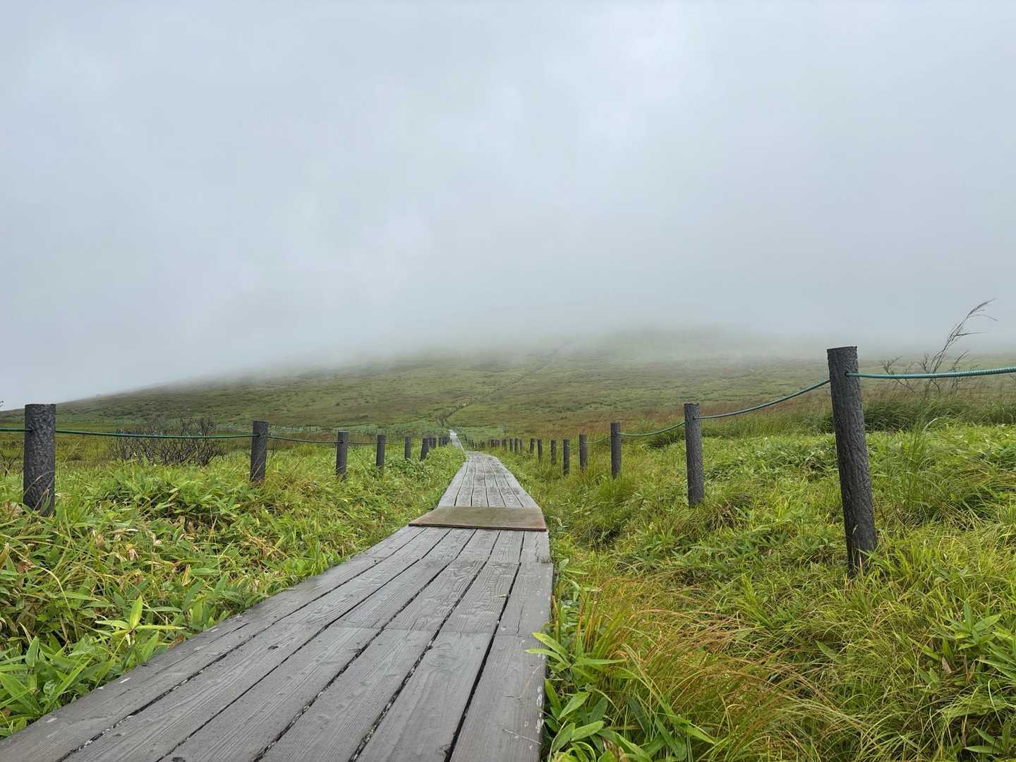 蝶々深山への山道
晴れは諦めました😢