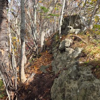 左は崖、右の岩は手摺りみたいに掴んで進む