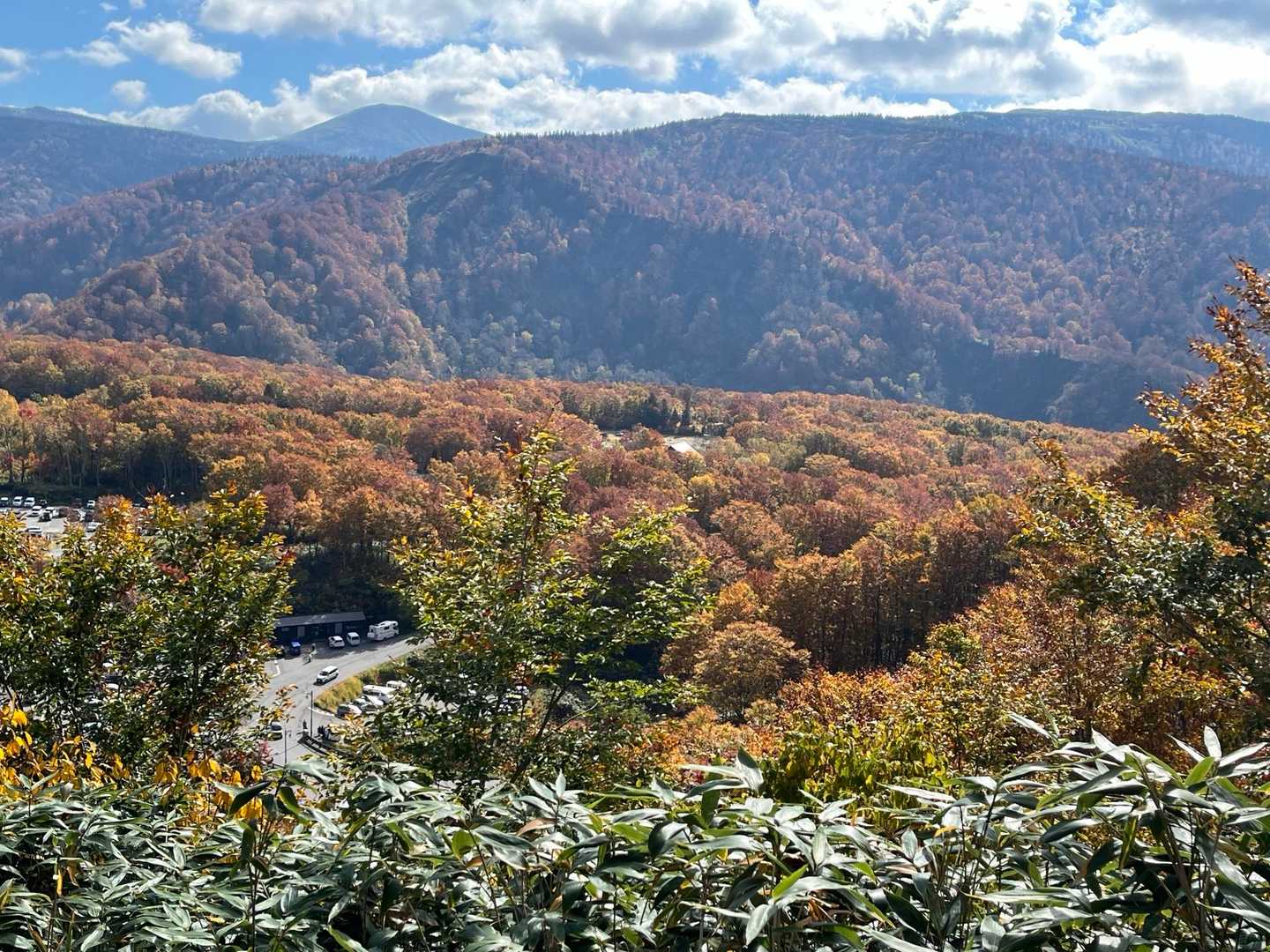 八甲田ロープウェイ山頂公園駅-田茂萢岳-井戸岳-毛無岱湿原 縦走コースの写真