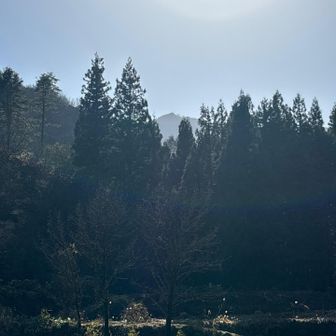 遠くに笠倉山⛰️
ありがと山でしたー♪♪♪