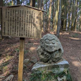 猿岩。飛鳥時代のもので、石垣用に持ってこられて放置されたみたい。