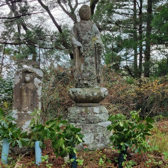 地元の人がお供えされたのか？葉が新しい。ホッとした気持ちになりました。