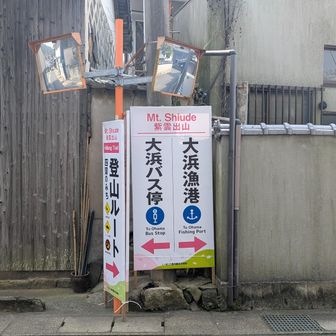 ここを右に曲がったお家の縁側の戸が大正ガラスぽかったけど、全てのガラスにマジックで絵が描いてあってうわ〜ってなった