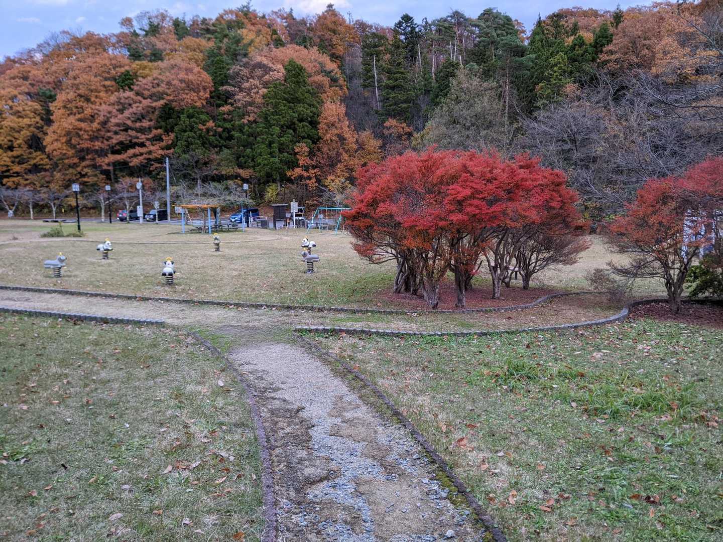 ただいま