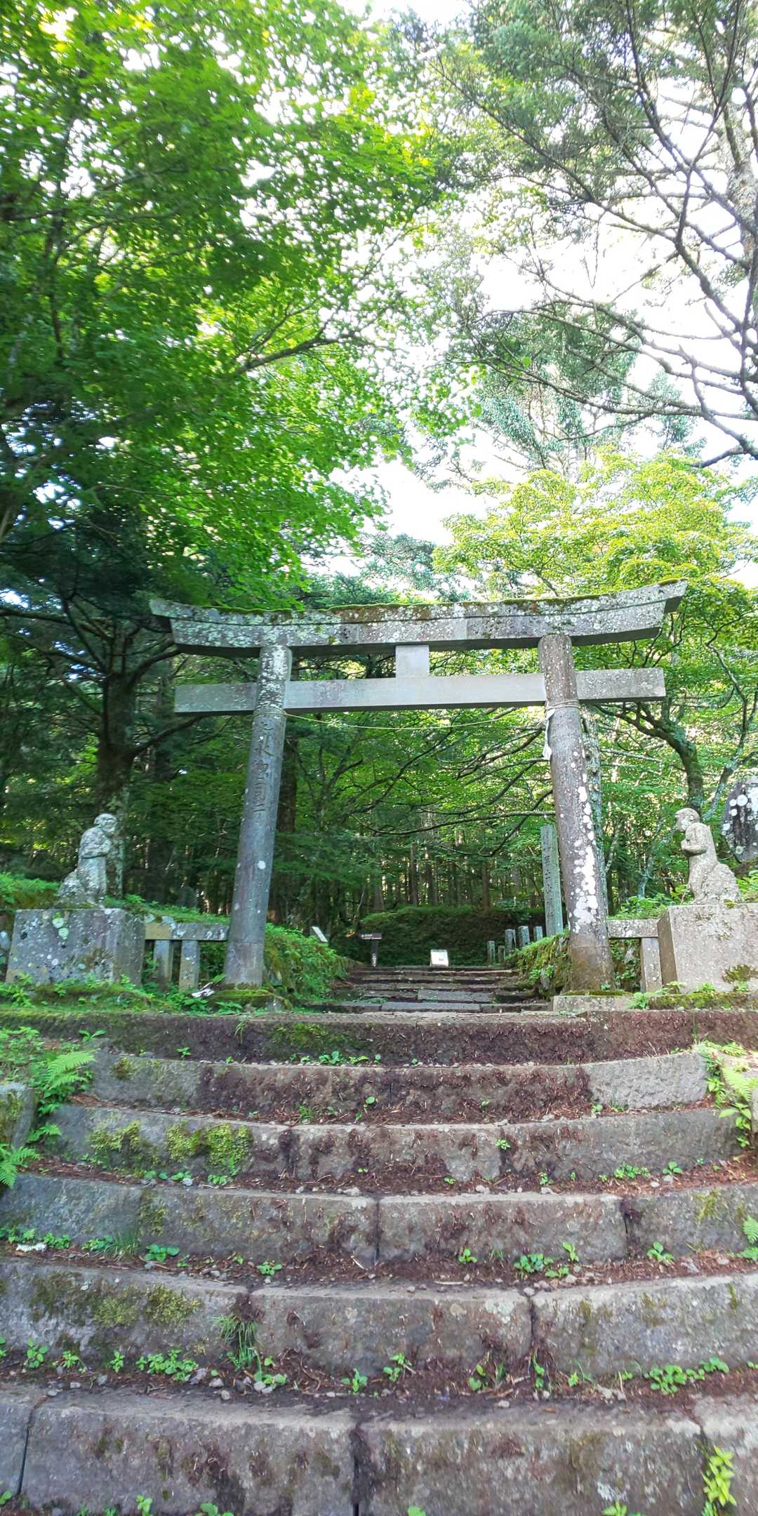 馬返バス停-小室浅間神社-経ヶ岳 往復コースの写真