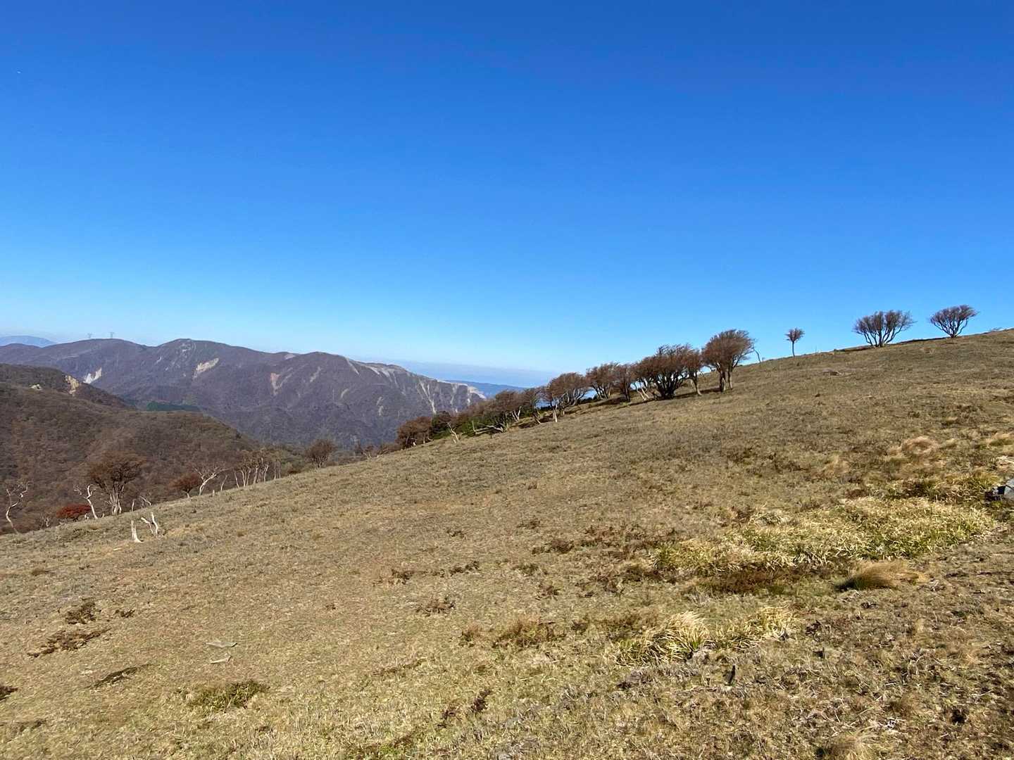 石榑峠から上がって見える景色も最高です🐑🐑🐑