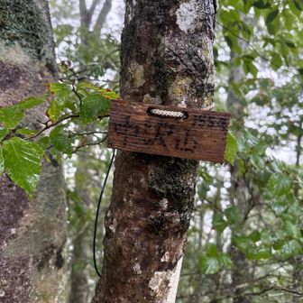 中沢山。なぜか控えめな山名標識が多い模様。