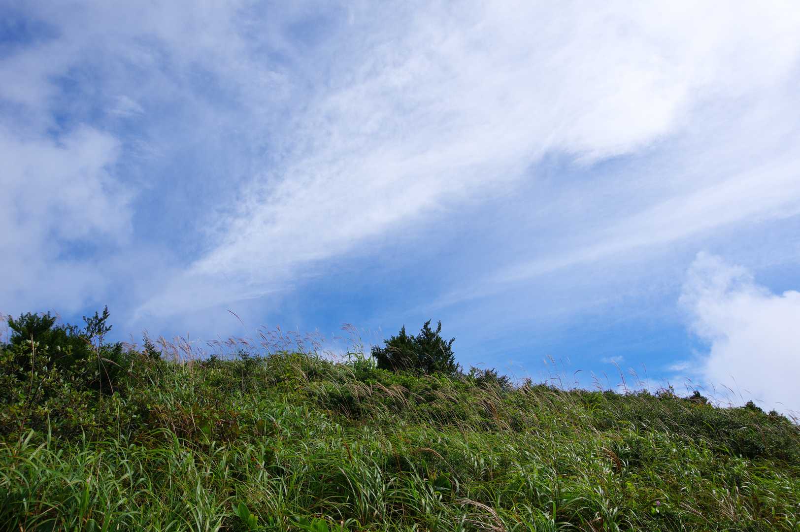 月見が丘登山口-岩樋山-道後山 往復コースの写真