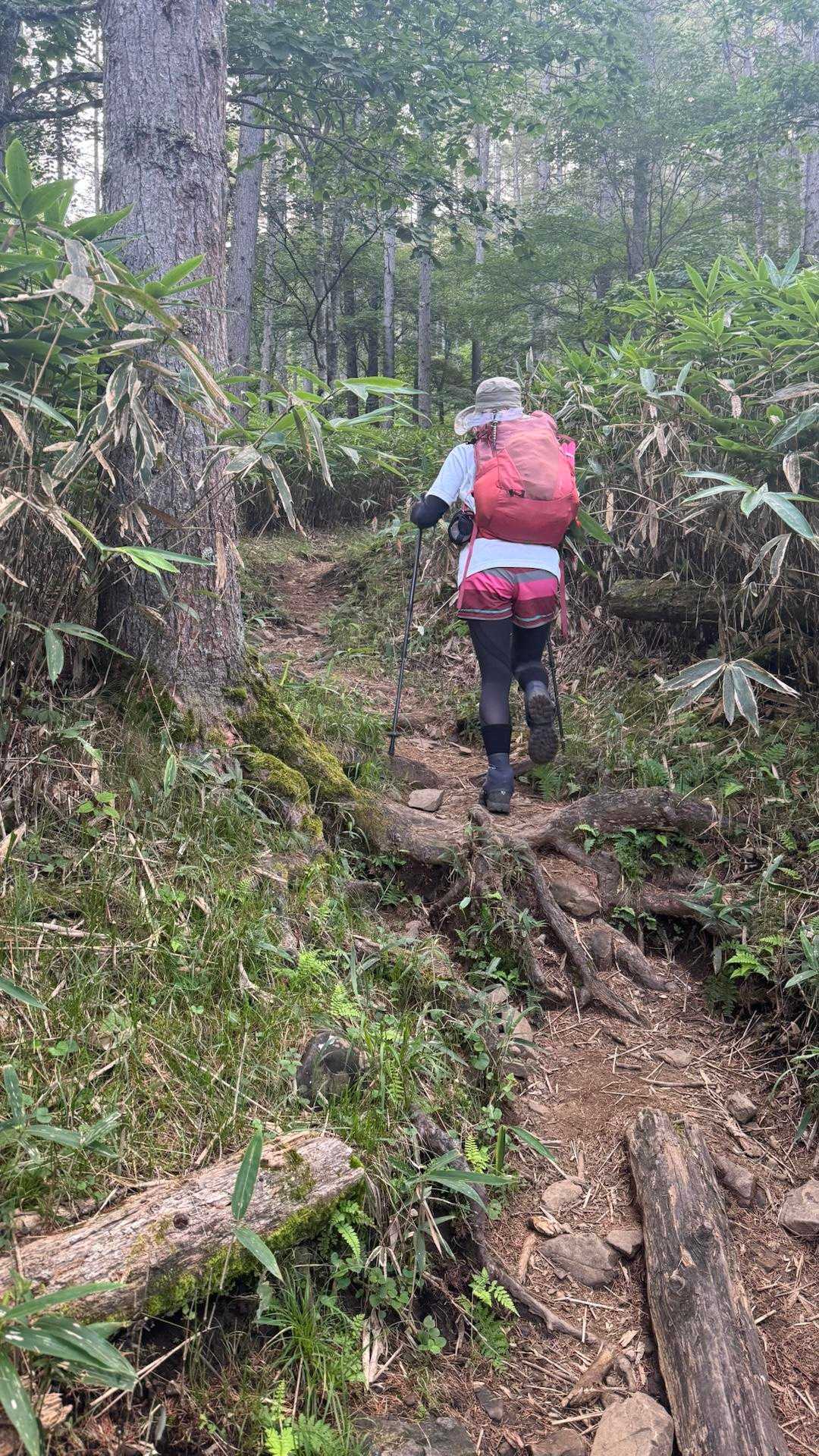 大菩薩嶺・熊沢山-2025-08-31 / Monbergさんの大菩薩嶺・鶏冠山・大
