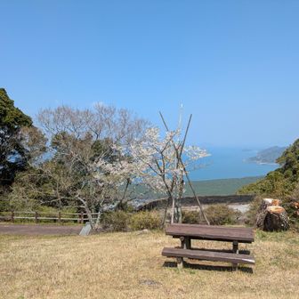 各所にベンチ有り